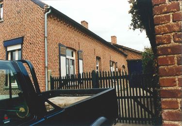 Tour Zu Fuß Kinrooi - Kessenich en de Drie Eigen Paarse boot - Photo