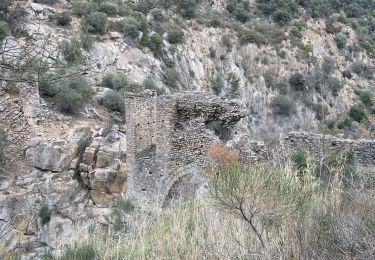 Tour Wandern Ille-sur-Têt - De Ille à rodés  - Photo