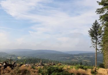 Tour Elektrofahrrad Champeau-en-Morvan - saint leger de fourches 270822 - Photo