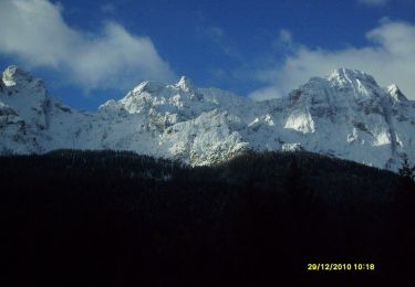 Excursión A pie Vodo di Cadore - Via normale Monte Pelmo - Photo