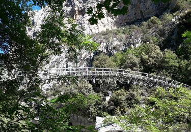 Tocht Stappen Aiguines - Sentier de l'Imbut -Sentier Vidal - Photo