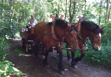 Excursión Senderismo Le Tilleul - le tilleul - Photo