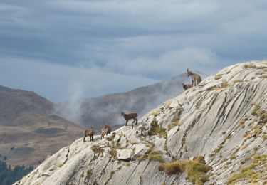 Tour Wandern Enchastrayes - Tour des Brecs - Photo