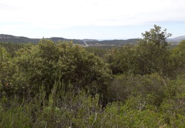 Tocht Stappen Roquefort-la-Bédoule - la petite sainte baume - Photo