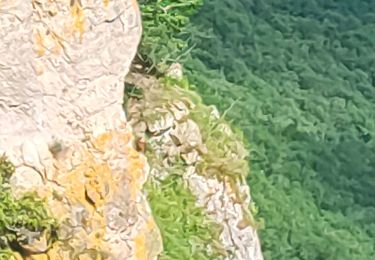 Trail Walking Le Rozier - aguessac - Photo