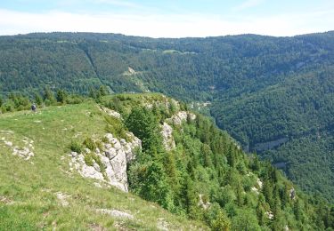 Tocht Stappen Septmoncel les Molunes - 190624 - Jura.2 - Montépile  - Photo