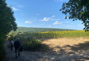 Trail Walking Lardy - Lardy - Photo
