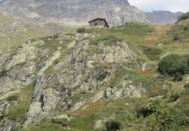 Percorso A piedi La Chapelle-en-Valgaudémar - Refuge de Chabournéou - Photo