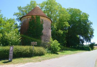 Percorso Marcia Saché - Saché - Villaines-les-Rochers (GR) - 17.8km 250m 3h40 - 2019 03 31 - Photo