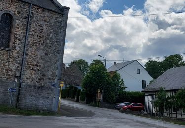 Tocht Stappen Beauraing - Froidfontaine 010522 - Photo