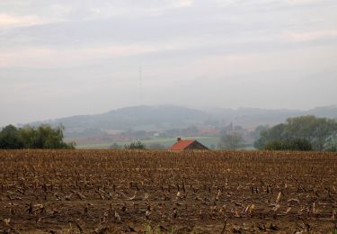 Excursión Senderismo Saint-Jans-Cappel - Saint Jans Cappel 12.1Kms Dén P 245m - Photo