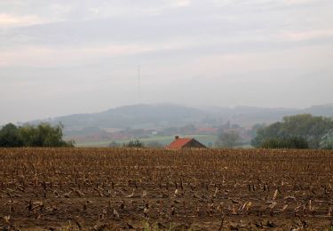 Tocht Stappen Sint-Janskappel - Saint Jans Cappel 12.1Kms Dén P 245m - Photo