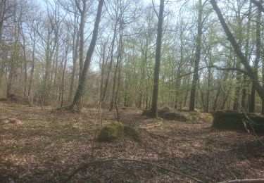 Randonnée Marche Fontainebleau - rocher Canon - mare à bauges  - Photo