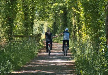 Percorso Marcia Mauves-sur-Huisne - Mauves-sur-Huisne - Mortagne-au-Perche 11 km - Photo