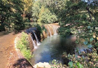 Excursión Senderismo Solliès-Ville - Domaine de la Castille- Solliès-Pont-08-09-23 - Photo