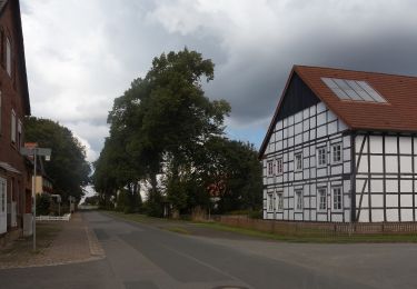 Randonnée A pied Nieheim - Nieheimer Kunstpfad - Photo