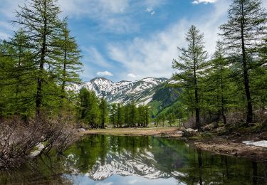 Percorso A piedi Courmayeur - Itinerario 23 Rifugio Dalmazzi - Photo