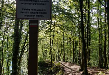 Randonnée V.T.T. Bouillon - 8 km VTT d'exploration départ de Rochehaut  - Photo