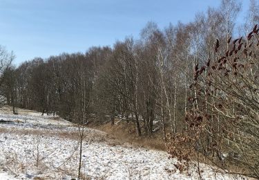 Percorso A piedi Theuma - DE-Wanderweg Roter Balken Großraum Lengenfeld - Photo