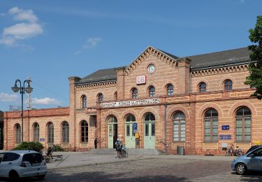 Tour Zu Fuß Königs Wusterhausen - Rundweg Niederlehmer Luch - Photo