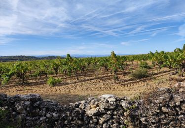 Randonnée Marche Villeneuve-Minervois - virades 2024 - Photo