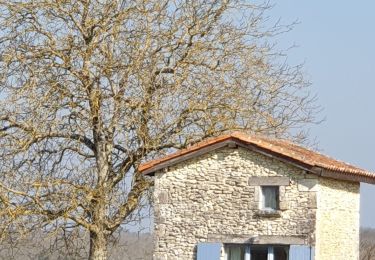 Excursión Senderismo Bourdeilles - Bourdeilles, boucle de Valade Rau - Photo