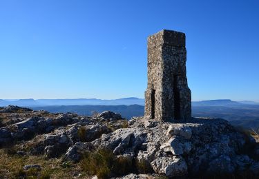 Tour Wandern Cotignac - Cotignac - Gros Bessillon - Monastère St Joseph - ND de Grâce - Photo