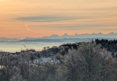 Tocht Stappen Plancher-les-Mines - 2025-01-04 Rando Polaire Dolleren Ballon Alsace Etape 3 - Photo