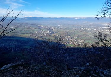 Trail Walking Collonges-sous-Salève - GRAND SALEVE: GROTTES ET SENTIER-BALCON - Photo
