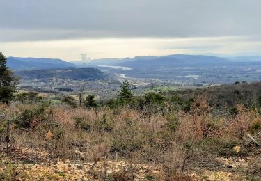 Trail Walking Le Teil - Grand tour de la Rouviere G3 wpt - Photo