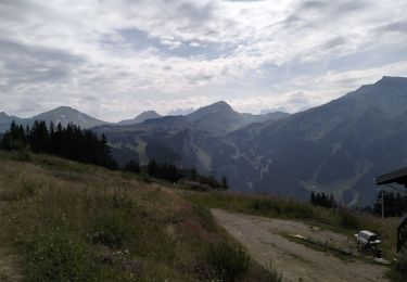 Randonnée Marche Morzine - 74-Avoriaz-cretes-belvedere-10km-360 - Photo