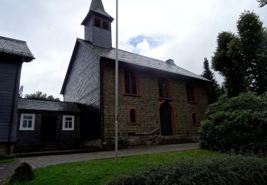 Tocht Te voet Winterberg - Schmelzhüttenweg, L3 - Photo