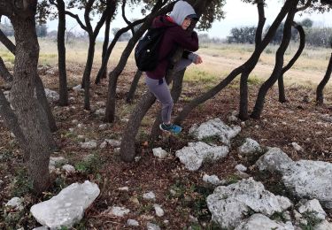 Trail Walking Saint-Bauzille-de-la-Sylve - st bauzille dls - Photo