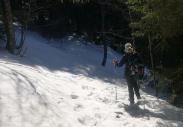 Tocht Sneeuwschoenen Le Haut-Bréda - lac blanc de la grande valloire  - Photo