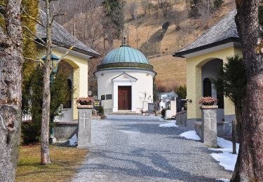 Excursión A pie Bad Hofgastein - Gasteiner Höhenweg - Photo