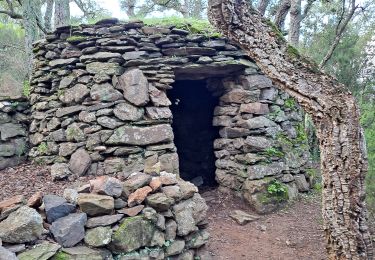 Trail Walking Argelès-sur-Mer - Boucle des dolmens et chapelle St.Laurent - Photo