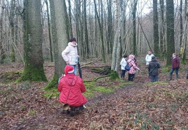 Tocht Stappen Chimay - 2023.13.21 Tamalous de la Botte  - Photo