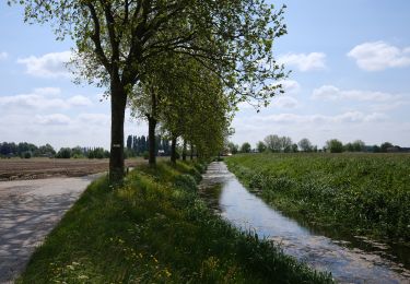 Randonnée Marche Lievegem - De Waarschoot à Gent st Pieters - Photo