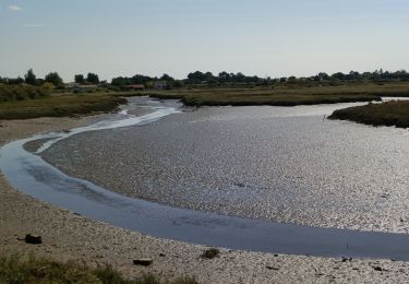 Percorso Marcia Le Teich - Le Teich - Photo