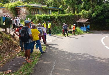 Tour Wandern Gros-Morne - 31eme Marche Royal  Gros-Morne  - Photo