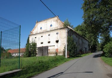 Excursión A pie Kašperské Hory - Kolem Pranýře za výhledy - Photo