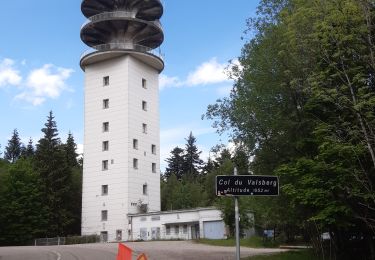 Trail Walking Wangenbourg-Engenthal - Col de Valsberg - Photo