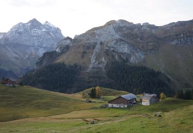 Tour Zu Fuß Isenthal - Rundweg Gitschenen - Photo