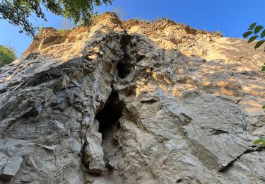 Tour Zu Fuß Konieprus - naučná stezka Zlatý kůň - Photo