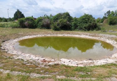 Excursión Senderismo Le Caylar - Sur le Larzac : du Caylar à la  Couvertoirade  - Photo