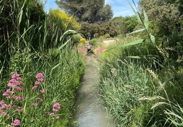 Randonnée Marche Miramas - Miramas - Photo