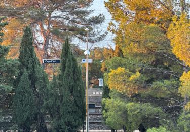 Tocht Stappen Cap-d'Ail - Cap d’ail - Nice Riquier - Photo