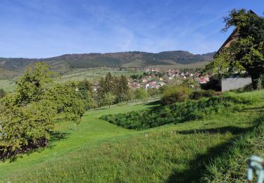Trail Walking Soultzmatt - Soultzmatt Wintzfelden - Photo