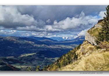 Trail Walking Mens - Le Bonnet de Calvin via Mentayre - Photo