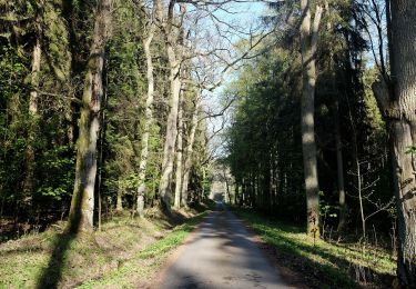 Excursión A pie Mariánské Lázně - NS Okolím Valů - Photo